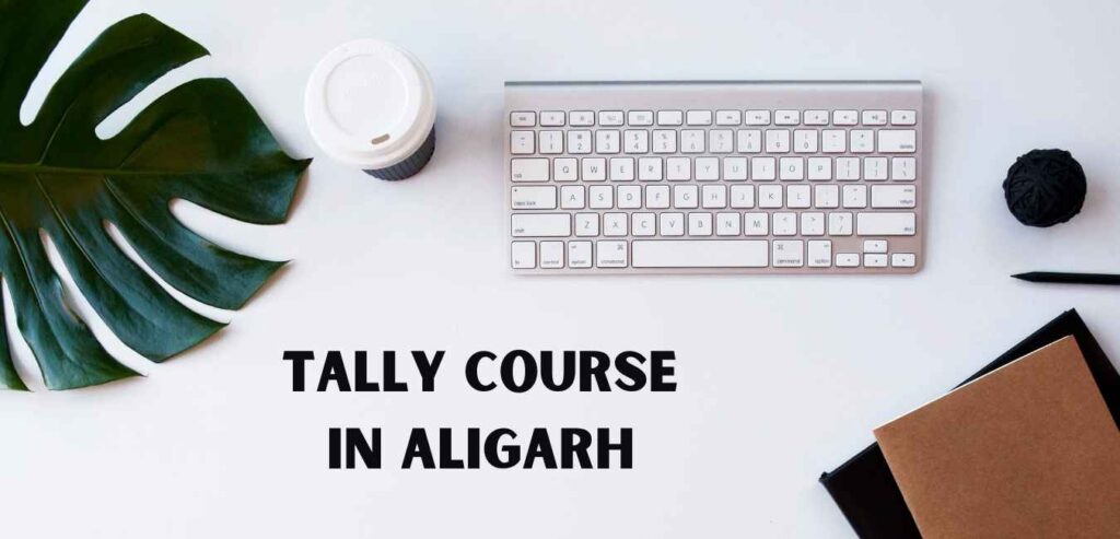 Tally Course in Aligarh